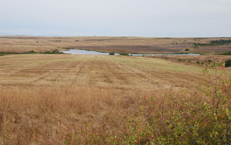 Raw Land Investing